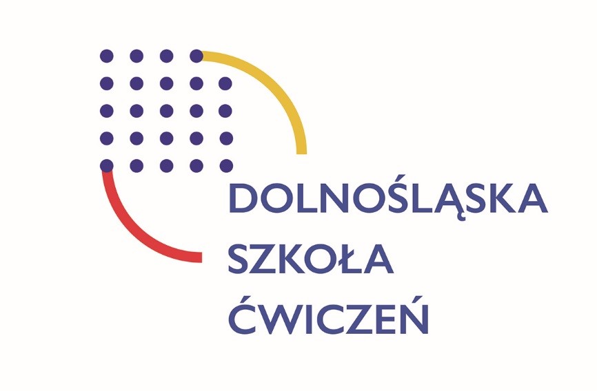 logo projektu DSC